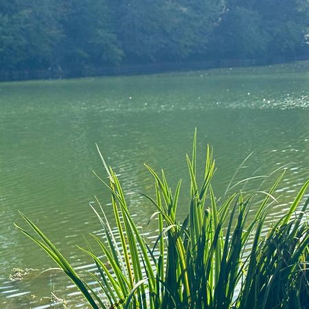 Lac De Lumiere. Relax With Rural Lakeside Living Herry Buitenkant foto