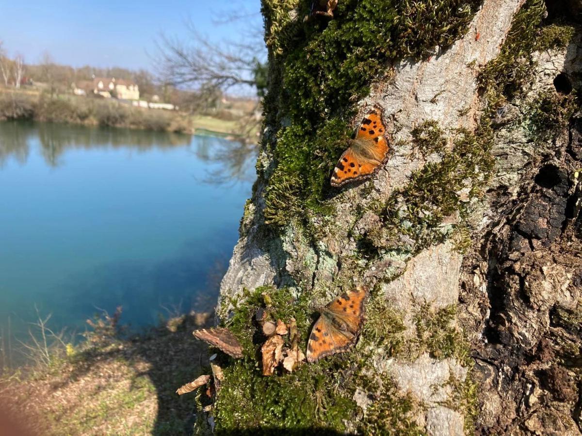 Lac De Lumiere. Relax With Rural Lakeside Living Herry Buitenkant foto