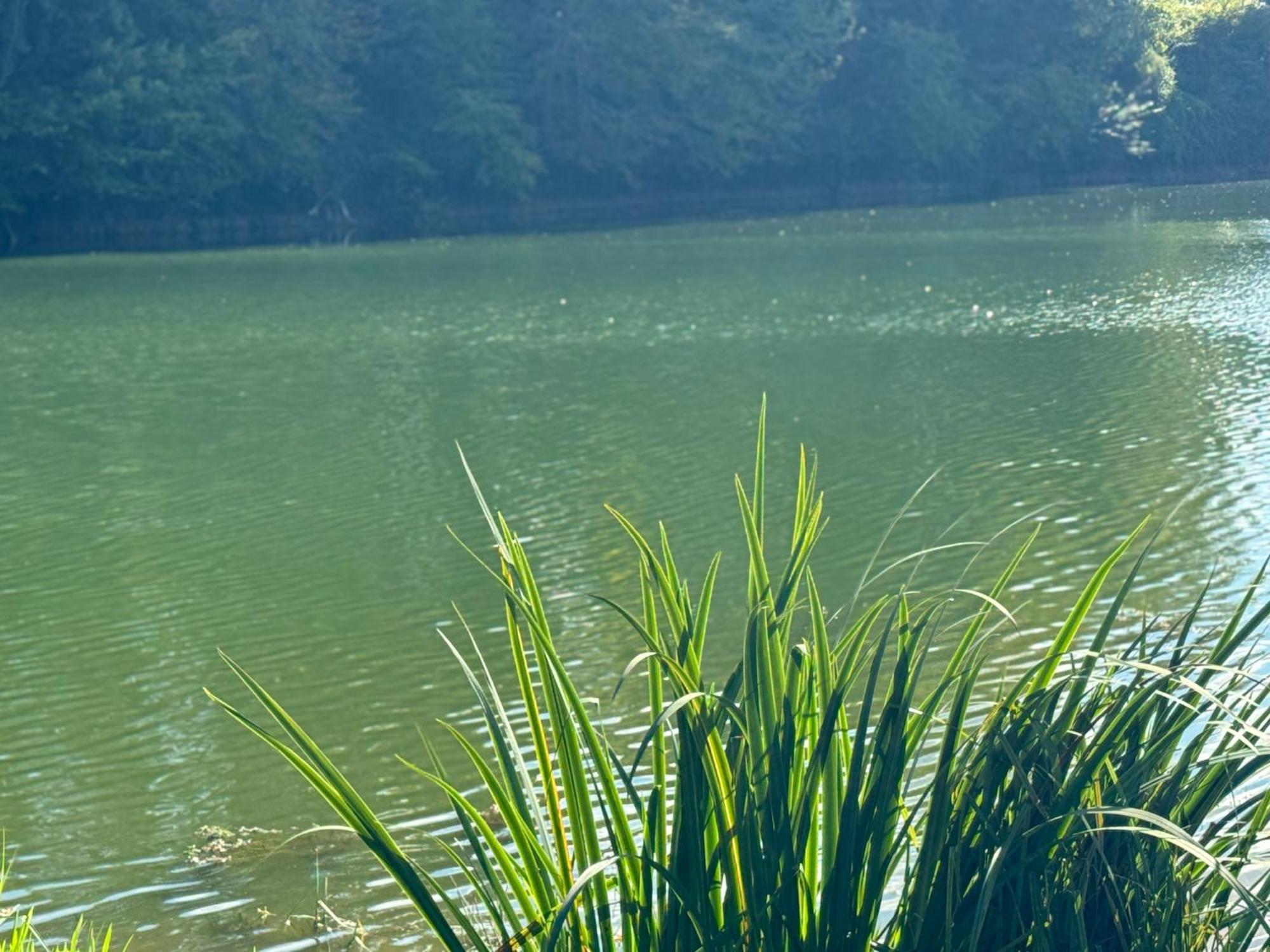 Lac De Lumiere. Relax With Rural Lakeside Living Herry Buitenkant foto